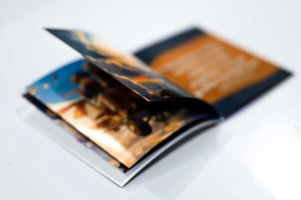 Motivational Quotes - Unleashing the Wonders of Learning